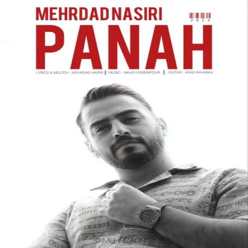مهرداد نصیری پناه